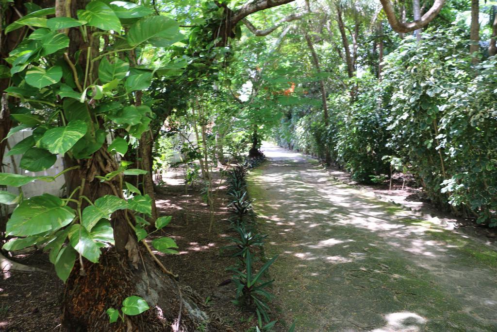 Pousada Ponta De Mangue Maragogi Ngoại thất bức ảnh