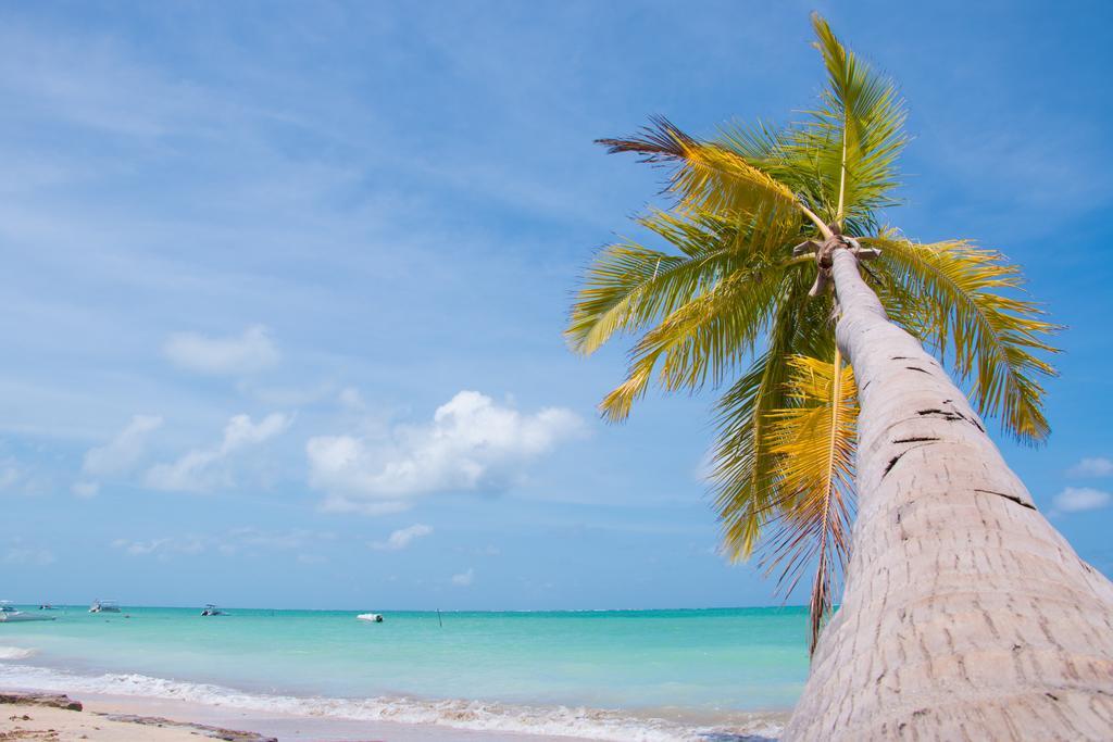 Pousada Ponta De Mangue Maragogi Ngoại thất bức ảnh